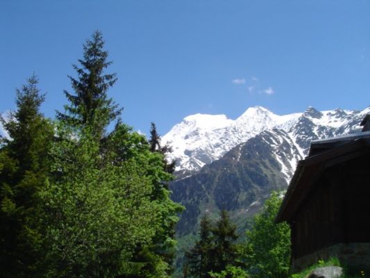 Cliquez pour voir l'image en taille relle