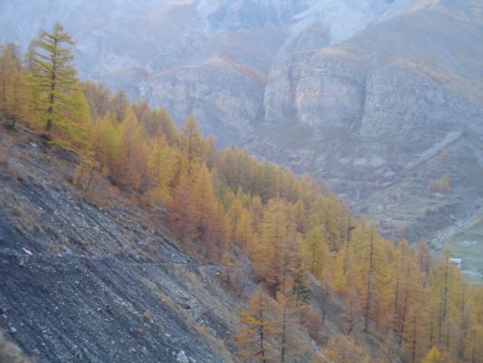 Cliquez pour voir l'image en taille relle