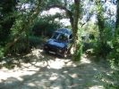 DSC00334.jpg
