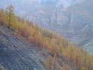 DSC00826.JPG