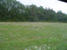 DSC01112.JPG