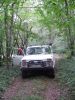 DSC01129.JPG