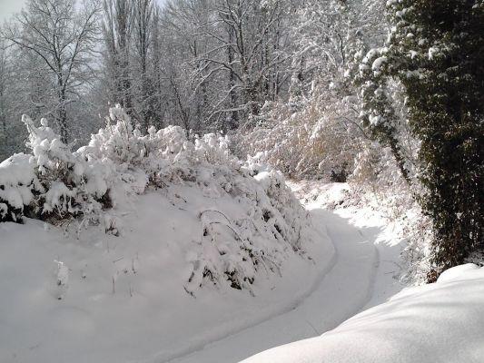 Cliquez pour voir l'image en taille relle